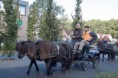 /album/menrit-en-barbecue-29-09-2014/a20120929-img-0106-1-jpg/